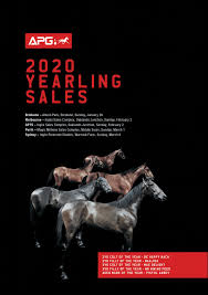 On the dark horse podcast, dr. Apg Yearling Sales 2020 Sales Catalogue Flip Ebook Pages 651 700 Anyflip Anyflip
