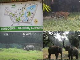 Alipore Zoological Garden Kolkata Zoological Garden Travel And Tourism Kolkata