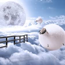 Ted Chin — photography @ ShockBlast