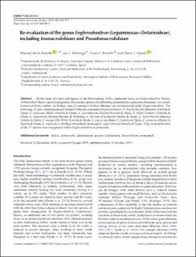 Image result for Englerodendron