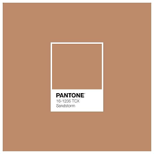 New The 10 Best Home Decor Ideas Today With Pictures Pantone Sandstorm Col Pantone Color Pantone Colour Palettes Pantone