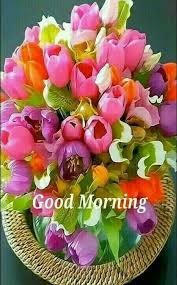 Good Morning Have A Beautifully Blessed Day Today Good Morning Flowers Morning Flowers Good Morning Images