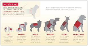 Infographic For Dog Vests Sfb Personal Network