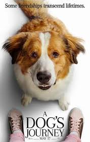 A dog's way home follows a more traditional talking dog narrative, borrowing from such canon canine films as homeward bound: A Dog S Journey Film Wikipedia