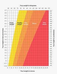 Improving Ivf Success Rates For Women With Bmi Of 25 30