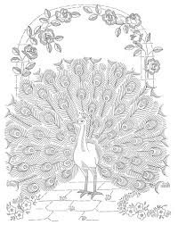 Peacock Embroidery Pattern Vintage Stickmuster Stickereimuster Kostenlose Ausmalbilder