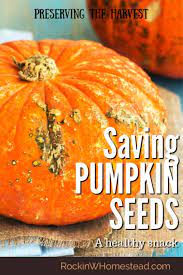 We did not find results for: Healthy Snacks Saving Pumpkin Seeds To Eat Rockin W Homestead