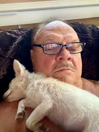 Chihuahua addicted to neck sleeping