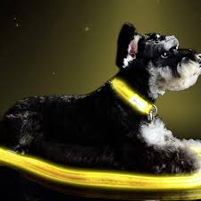Soft material is best, such as mesh or wool, as it helps keep pressure off the dog and results in a more comfortable collar or harness. 25 Best Dog Leashes 2021 The Strategist