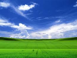 Choose from hundreds of free windows wallpapers. Windows Xp Wallpapers Top Free Windows Xp Backgrounds Wallpaperaccess