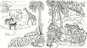 A biodiversidade da amazônia é uma de nossas maiores riquezas. Floresta Amazonica 5 Para Colorir Imprimir E Desenhar Colorir Me