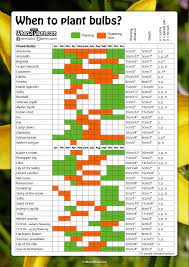 When To Plant Bulbs When2plant Com When To Plant Bulbs Planting Bulbs Planting Tulips