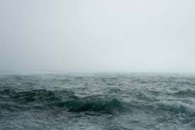 Der internationale tag der freundschaft (engl. 8 Juni World Oceans Day Welttag Der Meere Und Ozeane Tag Des Meeres Weltozeantag
