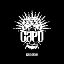 Image result for rap logo