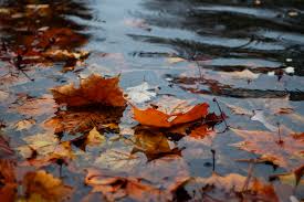 You can also upload and share your favorite rain wallpapers hd. 350 Rain Wallpapers Hd Download Free Images Stock Photos On Unsplash