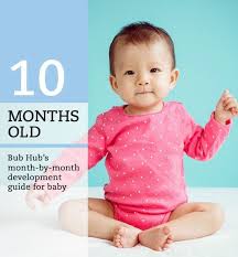 What Should My 10 Month Old Baby Be Doing 10 11 Month Milestones Bub Hu In 2020 10 Month Milestones Baby 10 Month Old Baby Activities Baby Development Milestones
