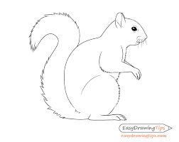 Learn how to draw this squirrel. How To Draw A Squirrel From The Side View Tutorial Easydrawingtips