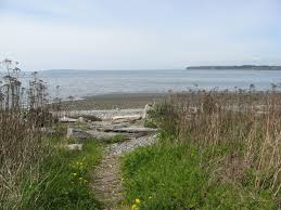 There are 147 tent spaces (12′ x 12′) in the forested camping area, plus 20 partial hookup campsites for trailers and rvs (up to 60 feet). The Beach At Birch Bay State Park Birch Bay Wa C Shauny Thoreson State Parks Washington State Natural Landmarks
