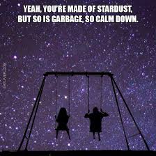 Yeah You Re Made Of Stardust Funny Pictures Humor Funny