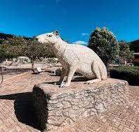 Como chegar à Serra da Capivara: de carro, de ônibus e de avião