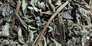 Image result for Lippia abyssinica