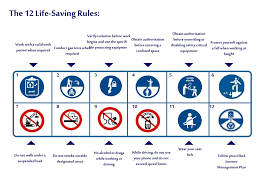 12 life saving rules shots. Ppt Employee And Contractor Induction Powerpoint Presentation Free Download Id 6581842