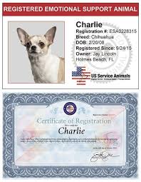 Register Your Emotional Support Animal Online Us Service Animals Emotional Support Animal Service Animal Emotional Support Dog