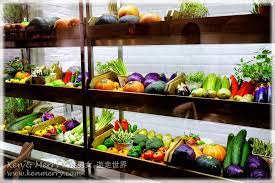 素食 分子innoveggie north point hong kong green monday eat vegetables