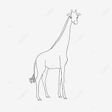 We did not find results for: Giraffe Clipart Black And White Lineart Giraffe Cute Hand Drawn Clipart Black And White Lovely Childrens Painting Png Transparent Clipart Image And Psd File For Free Download