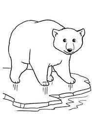 Select from 36014 printable coloring pages of cartoons, animals, nature, bible and many more. Free Easy To Print Bear Coloring Pages Polar Bear Coloring Page Polar Bear Color Bear Coloring Pages