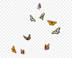 Purple butterfly flower clip art. Butterfly Clip Art Flying Blue Butterfly Transparent Background Png Download 5633145 Pinclipart