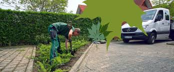 Seit fast 100 jahren stehen wir in den gärten unserer kunden. Home Dirk Kohler Lippegrun