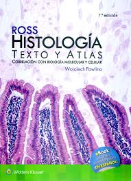 Ross Histologia Texto Y Atlas 7ma Edicion Histologia Ross Librosdemedicina Librosdemedicinafullpdf Desca Histologia Libros De Histologia Libro De Biologia
