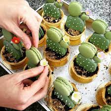 Diy cactus party (tell love and party). Desert Inspired Desserts Hooray Mag