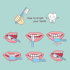 Maybe you would like to learn more about one of these? How To Brush Your Teeth Clipart 1 566 198 Clip Arts