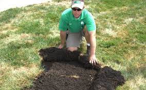 The best time to control grubs is in early summer, just after they hatch. White Grub Control In Turf Grass Pad