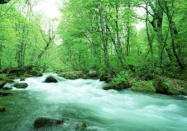 「環境」の画像検索結果