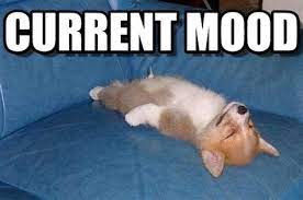 Your meme was successfully uploaded and it is now in moderation. Current Mood Memes