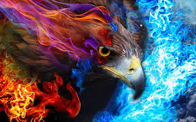 We did not find results for: Hd Wallpaper Fire Eagle Wallpaper Flare