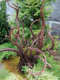 Google Bildsuchergebnis Bei Lh4 Ggpht Com Garten Deko Ideen Garten Deko Deko Natur