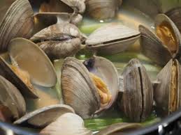 To steam clams in the shell, add 1 cup water to a stock pot, and bring to a boil. Bostonsidewalks Technique 9 Things You Need To Know Before Steaming Hard Shell Clams