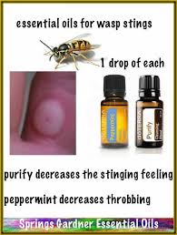 Eo For Wasp Stings Healthy Essential Oils Essential Oils Wellness Essential Oil Spray