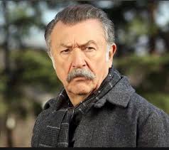 Esra Ciftci Aslan MBA MSc BEng BCon