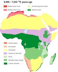 25% of the world's tropical rainforests are located in southeast asia and the pacific islands. Africa During The Last 150000 Years