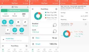 Simply enter your daily food, meal and drink consumptions into your online diary and we'll do the rest. The 4 Best Food Tracker Apps For 2019 Appletoolbox