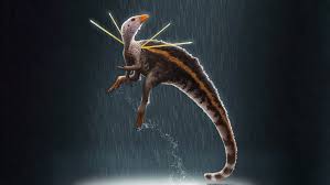 Image result for Dinophora