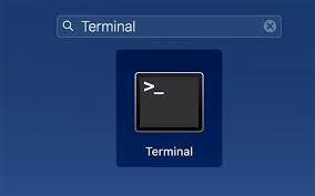Once it has been done, it is to be noted that the user in this regard can see that the trash folder that has been located onto the desktop has been emptied without any issue ending this process as well: How To Force Empty Trash On Mac