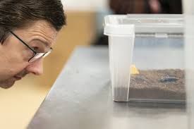 St. Louis-area's Butterfly House discovers mutant cockroach