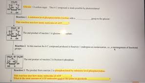Cellular respiration stores atp, while photosynthesis releases atp. Solved Ch Oh Glucose 6 Carbon Sugar This 6c Compound I Chegg Com