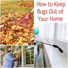 Spring and summer are the worst time for pests, when their numbers are high and they begin looking for new sources of food and shelter. 110 Do It Yourself Pest Control Videos Pest Control Pests Control
